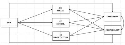 The influence of positivity and self-efficacy beliefs on family functioning among young adults in Italy and Colombia